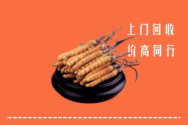 高价求购：沈阳回收散虫草