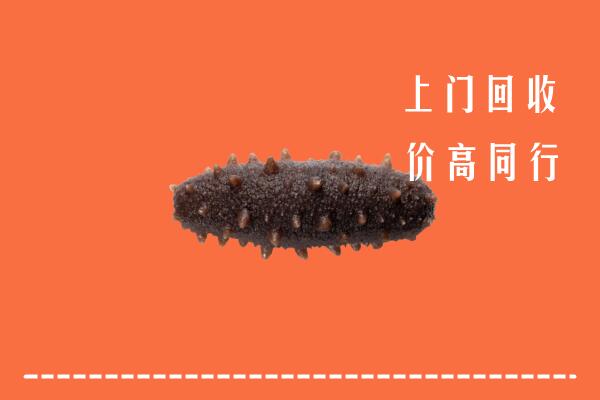 高价求购：沈阳回收海参