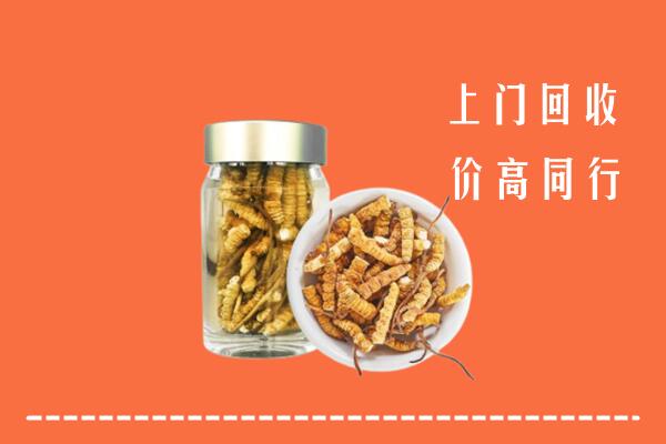沈阳回收冬虫夏草